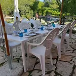 L'albero Degli Struzzi
