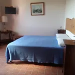 L'albero Degli Struzzi *