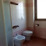 L'albero Degli Struzzi Penna in Teverina