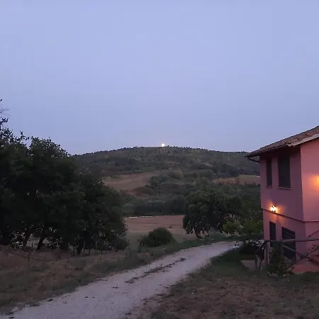 L'albero Degli Struzzi *