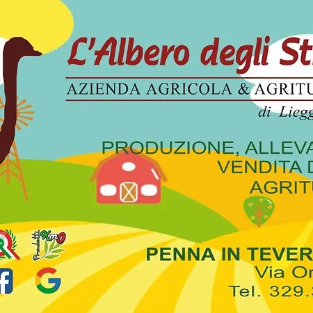 Farmház L'albero Degli Struzzi *