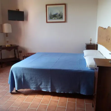 L'albero Degli Struzzi *