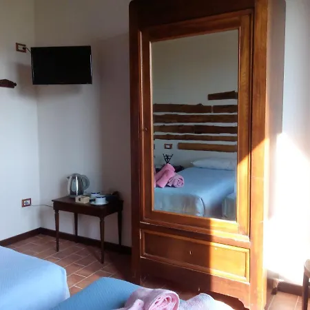 L'albero Degli Struzzi *