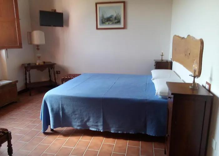 L'albero Degli Struzzi *